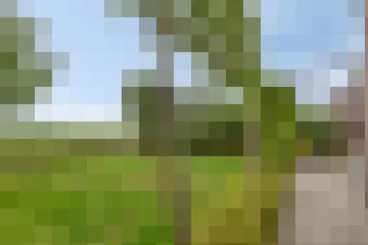 De Landerije 9 Steenbergen thumbnail 32