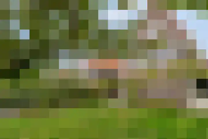 De Landerije 9 Steenbergen thumbnail 33