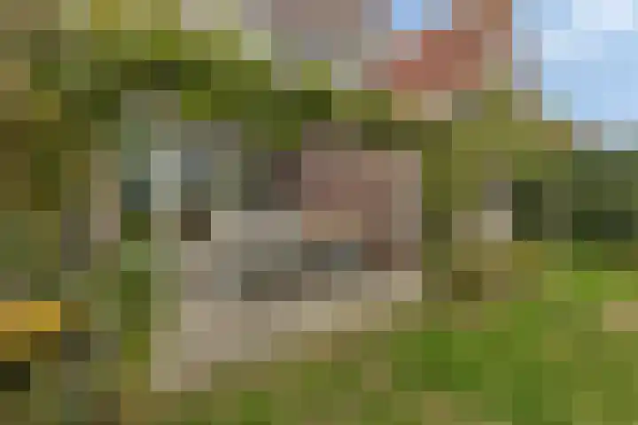 De Landerije 9 Steenbergen thumbnail 34