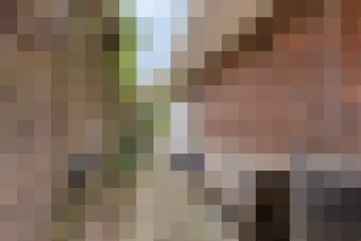 De Landerije 9 Steenbergen thumbnail 35