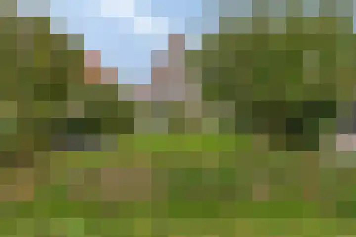 De Landerije 9 Steenbergen thumbnail 36