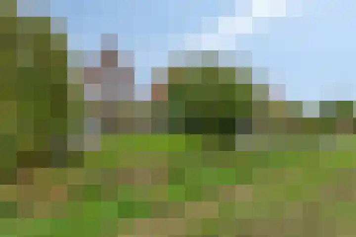De Landerije 9 Steenbergen thumbnail 37