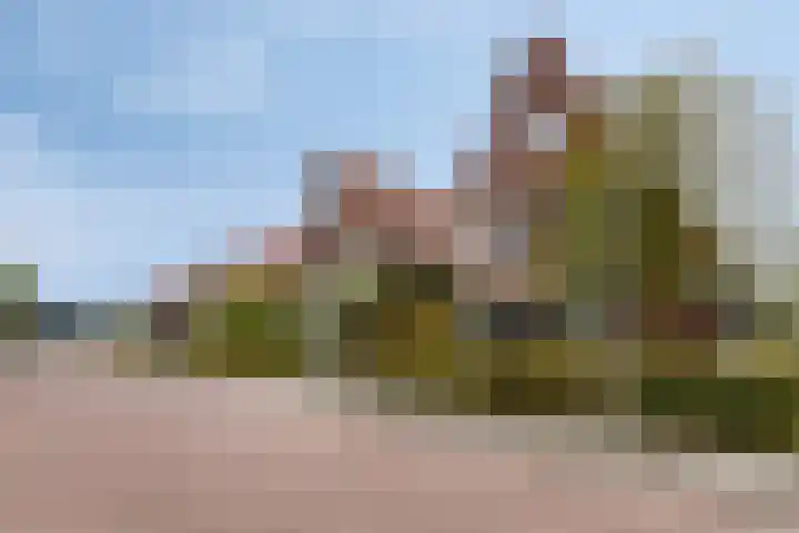 De Landerije 9 Steenbergen thumbnail 40