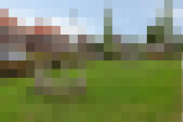 De Landerije 9 Steenbergen thumbnail 41