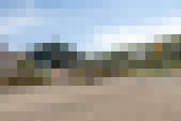 De Landerije 9 Steenbergen thumbnail 42