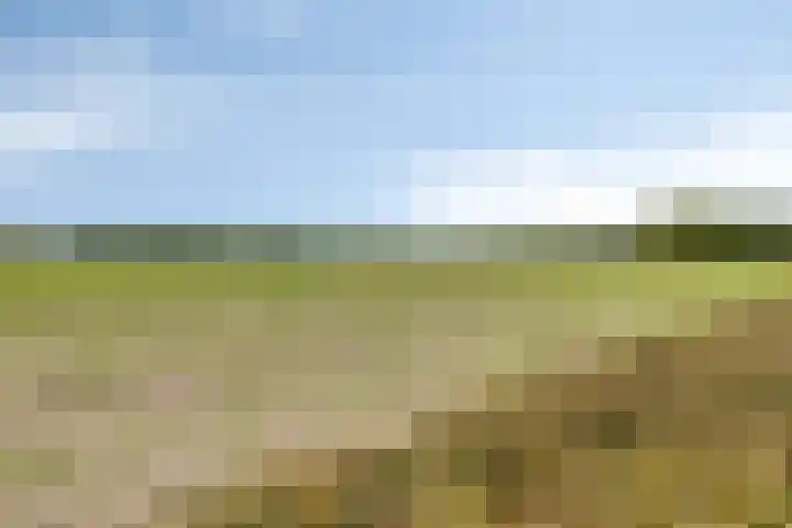 De Landerije 9 Steenbergen thumbnail 43