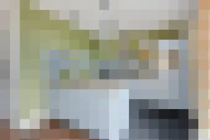 De Landerije 9 Steenbergen thumbnail 5