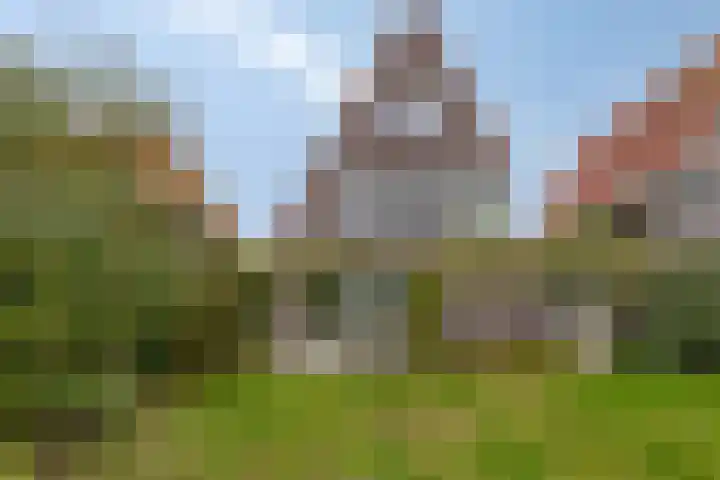 De Landerije 9 Steenbergen thumbnail 6