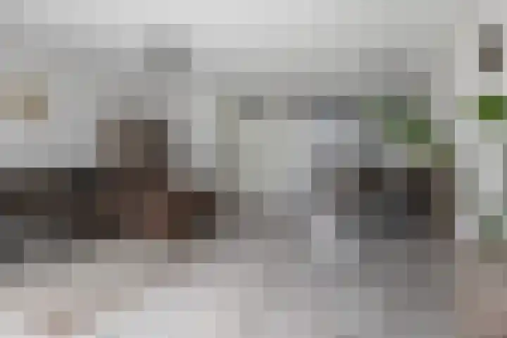 De Landerijen 121 Hoogezand thumbnail 12
