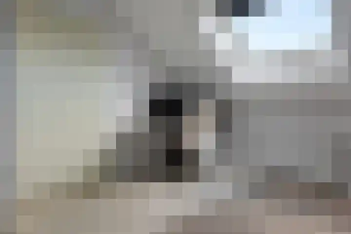De Landerijen 121 Hoogezand thumbnail 30