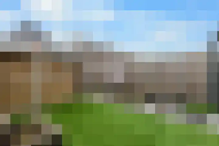 De Landerijen 121 Hoogezand thumbnail 35