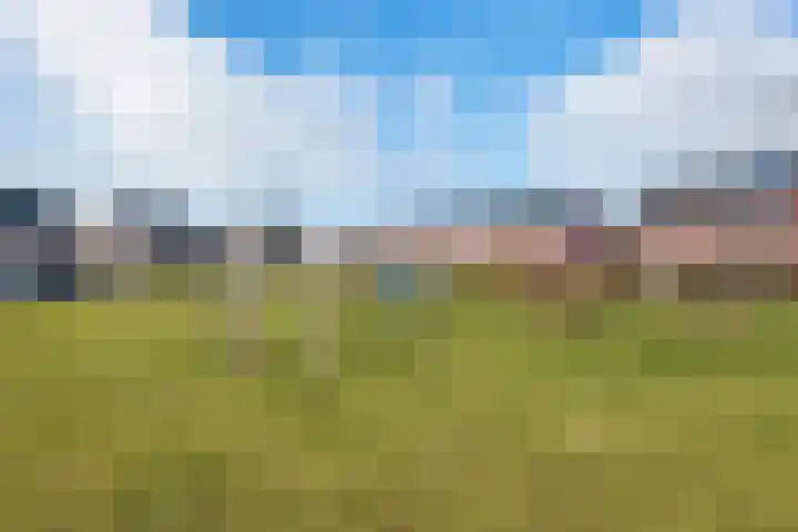 De Landerijen 121 Hoogezand thumbnail 36