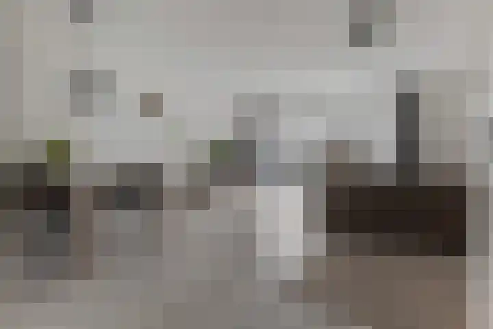 De Landerijen 121 Hoogezand thumbnail 9