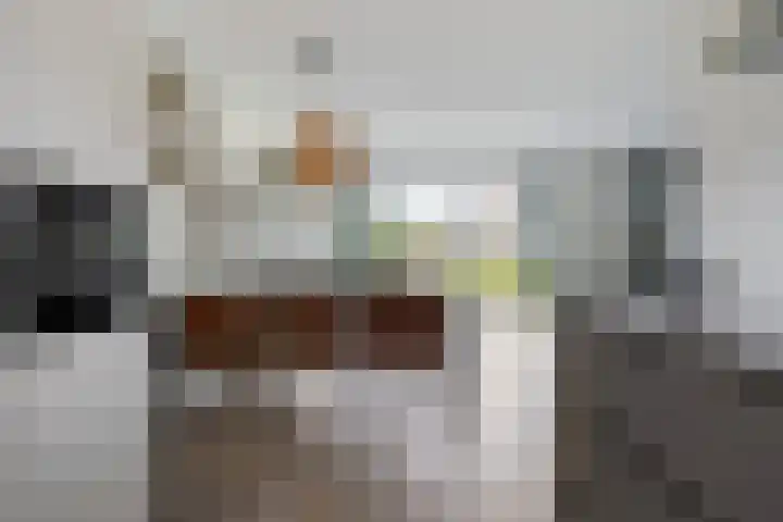 De Landerijen 147 Hoogezand thumbnail 11