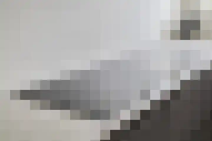 De Landerijen 147 Hoogezand thumbnail 13