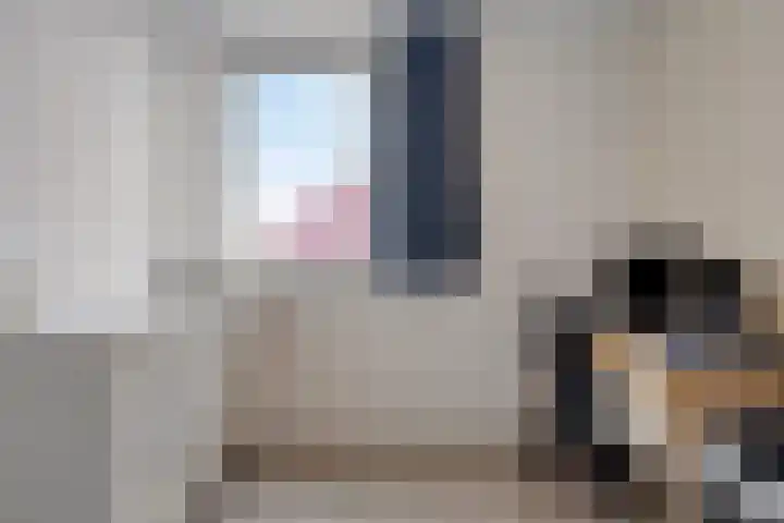 De Landerijen 147 Hoogezand thumbnail 20
