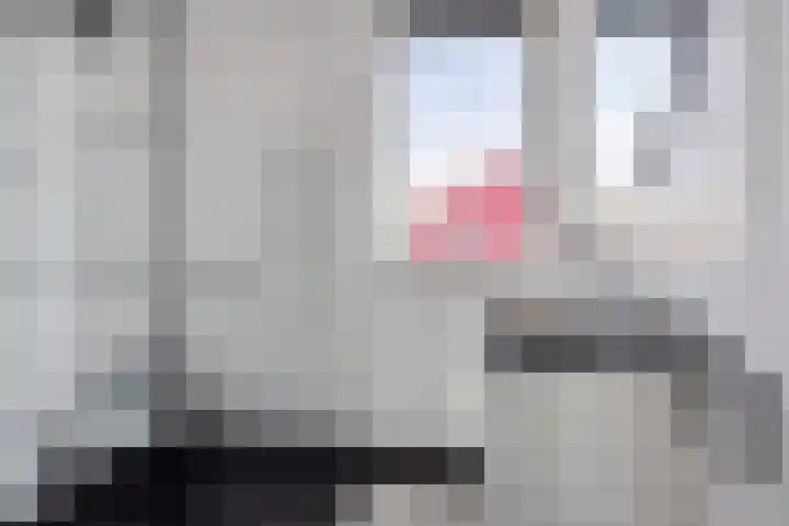 De Landerijen 147 Hoogezand thumbnail 24