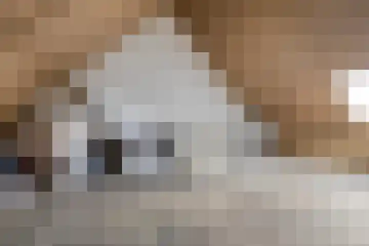 De Landerijen 147 Hoogezand thumbnail 31
