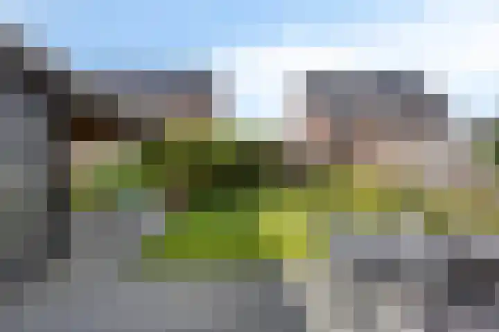 De Landerijen 147 Hoogezand thumbnail 35