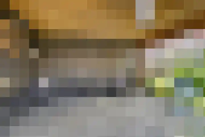 De Landerijen 147 Hoogezand thumbnail 39