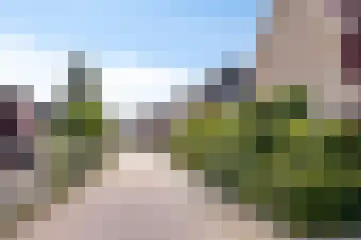 De Landerijen 147 Hoogezand thumbnail 50