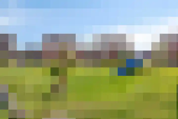 De Landerijen 147 Hoogezand thumbnail 55