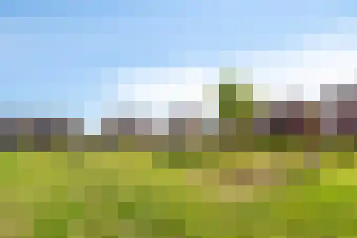De Landerijen 147 Hoogezand thumbnail 57