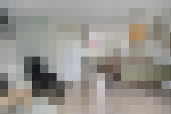 De Landerijen 147 Hoogezand thumbnail 7