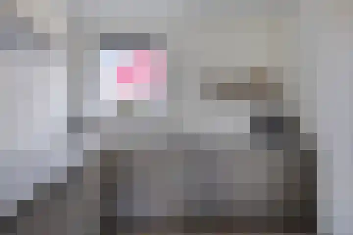 De Landerijen 147 Hoogezand thumbnail 9