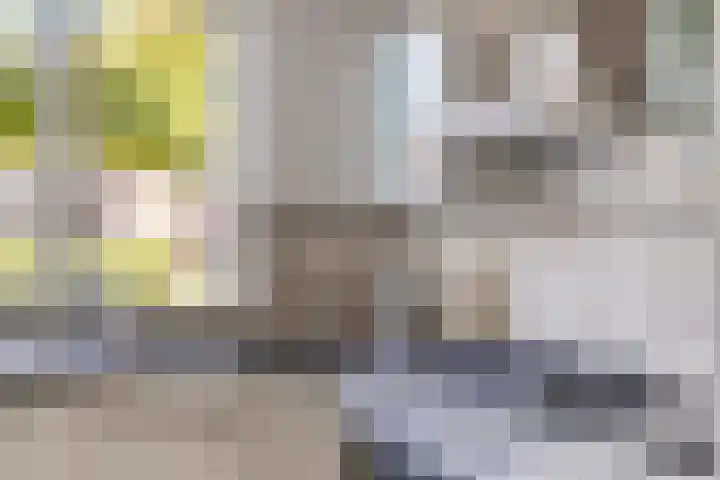 De Landerijen 18 Hoogezand thumbnail 14