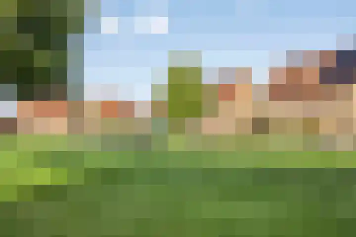 De Landerijen 18 Hoogezand thumbnail 39
