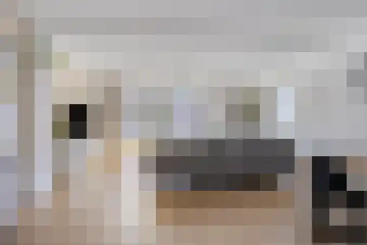 De Landerijen 18 Hoogezand thumbnail 4
