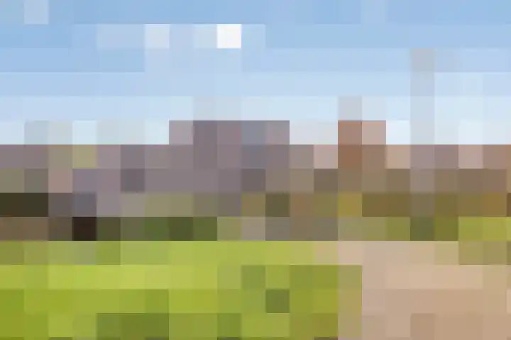 De Landerijen 18 Hoogezand thumbnail 40