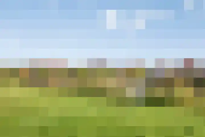 De Landerijen 18 Hoogezand thumbnail 41