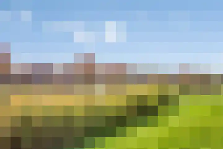 De Landerijen 18 Hoogezand thumbnail 42
