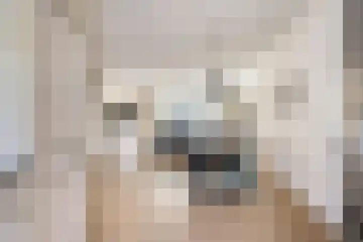De Landerijen 18 Hoogezand thumbnail 9