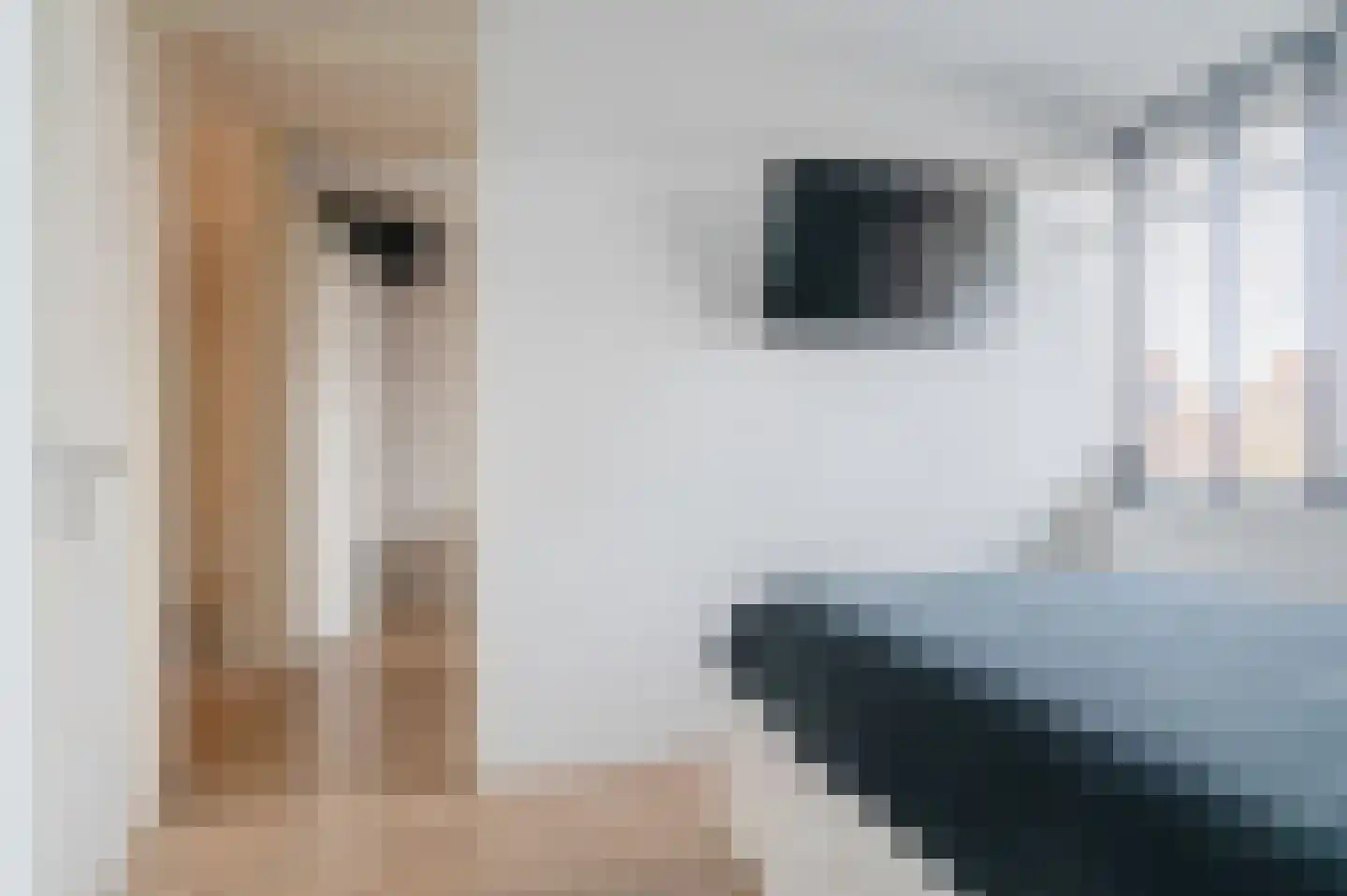 De Landerijen 28 Hoogezand thumbnail 25