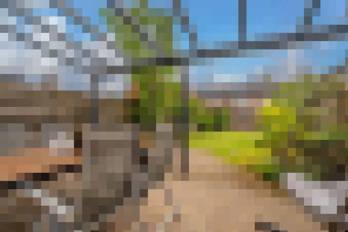 De Landerijen 4 Hoogezand thumbnail 25