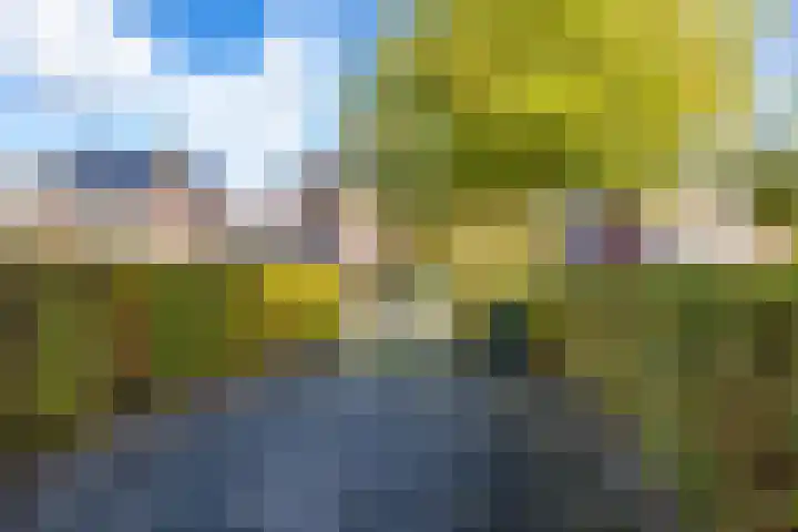 De Landerijen 62 Hoogezand thumbnail 36