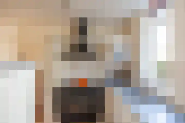 De Landerijen 62 Hoogezand thumbnail 7