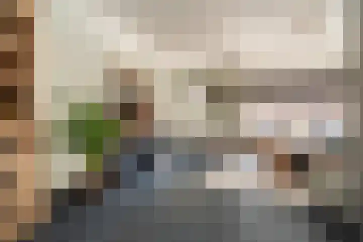 De Landerijen 79 Hoogezand thumbnail 13