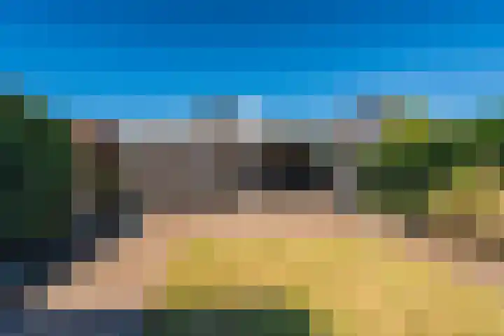 De Landerijen 79 Hoogezand thumbnail 25