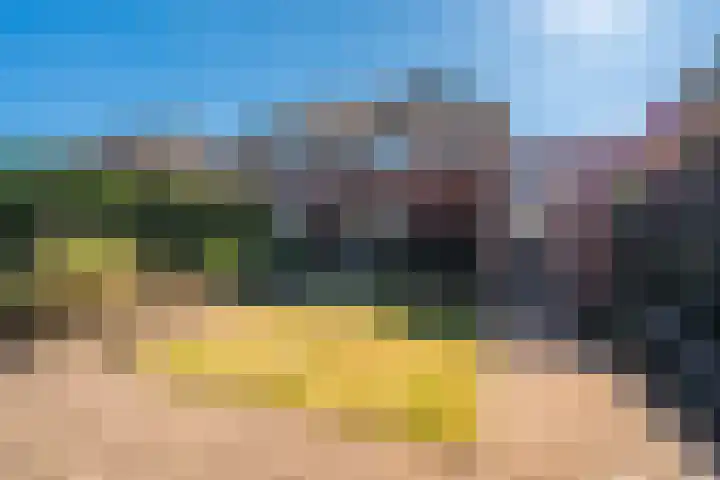 De Landerijen 79 Hoogezand thumbnail 29