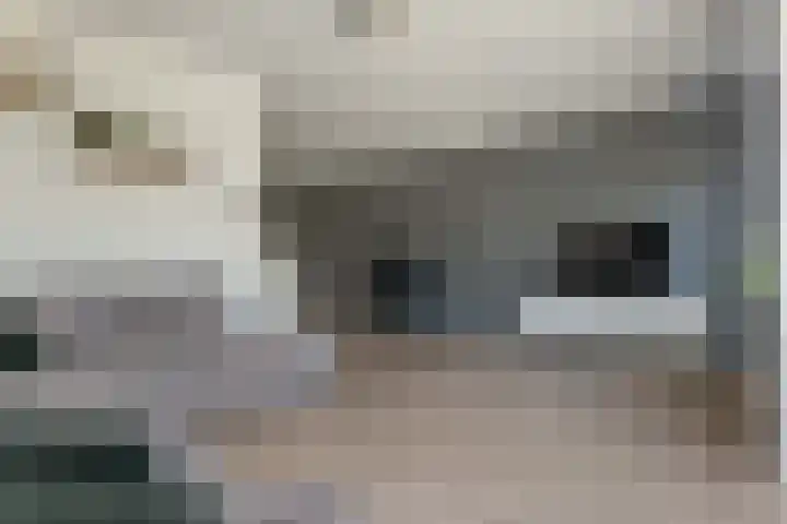 De Landerijen 9 Hoogezand thumbnail 11