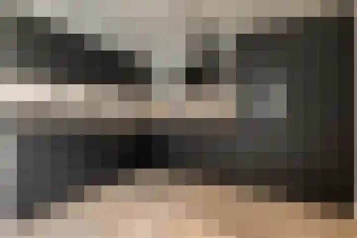 De Landerijen 9 Hoogezand thumbnail 15