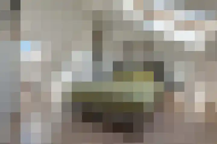 De Landerijen 9 Hoogezand thumbnail 30