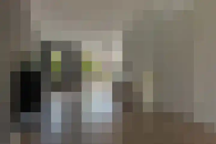 De Landerijen 9 Hoogezand thumbnail 7