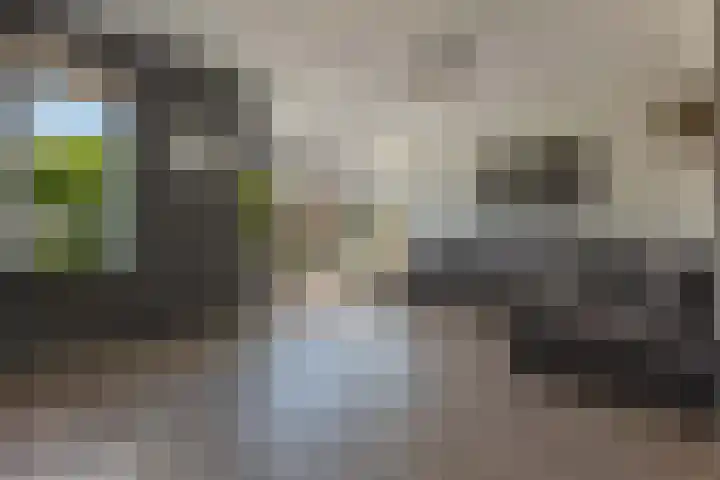 De Landerijen 9 Hoogezand thumbnail 8