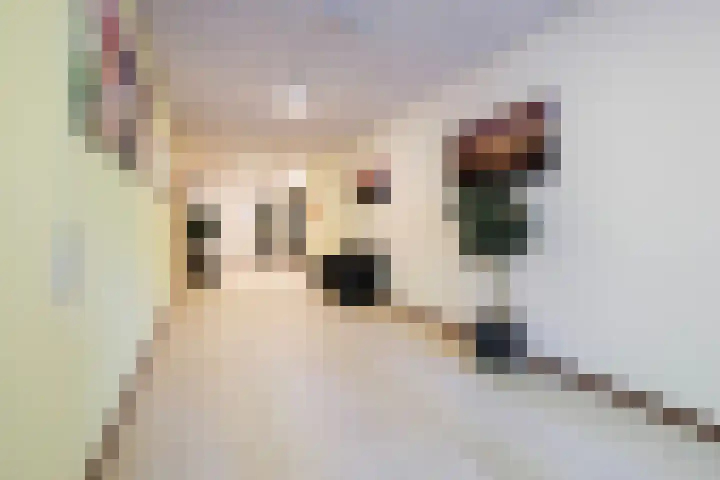 De Lanen 9 Drachten thumbnail 12