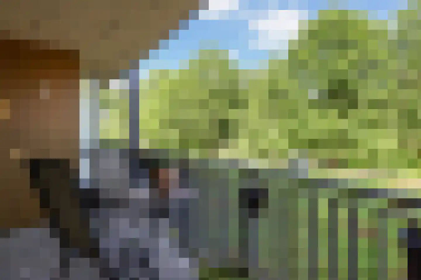 De Lanen 9 Drachten thumbnail 30